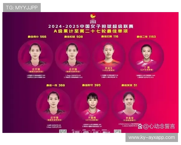 最佳阵容预测：谁能登顶？，最佳阵容还有人玩吗